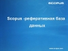 Баннер
